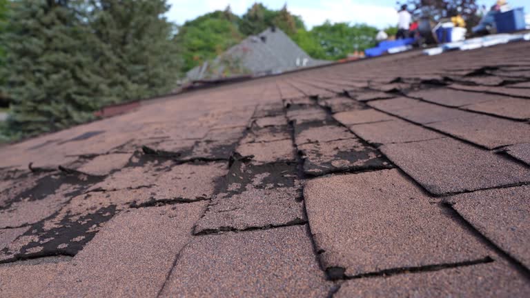 Trusted Millersburg, PA Roofing Experts